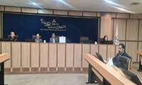  تبیین خودمراقبتیِ سلامت روان در شورای پیام‌گزاران سلامت استان