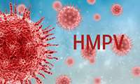ویروس متاپنوموی انسانی (HMPV) چیست؟