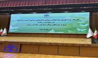  اهمیت سلامت روان در بحران‌ها