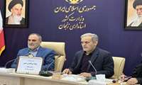 تاکید بر انجام مشاوره برای مادران باردار
