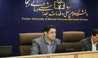 رئیس دبیرخانه کمیسیون تخصصی سلامت و تغذیه استان زنجان: جایگزینی «نان کامل» با نان سفید، اولویت اصلی برای پیشگیری از بیماری‌های مزمن است