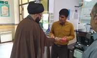 جشن ولایت علوی در بیمارستان رازی ماهنشان برگزار شد