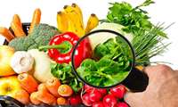 یک پزشک عمومی: رعایت اصول بهداشتی در خانه ضامن سلامت غذاست