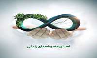 رئیس اداره درمان بیماری‌های معاونت درمان:  اهدای عضو؛ حماسه‌ی سخاوت و فرصت زندگی دوباره/ زنجان پیشگام در ایثار و پیوند اعضا