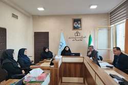 پایش وزارتی طرح سلامت خانواده در استان زنجان