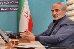 حشره‌شناس و عضو هیئت علمی دانشگاه علوم پزشکی زنجان: ماندگاری پشه آئدس وضعیت خطرناکی ایجاد می‌کند