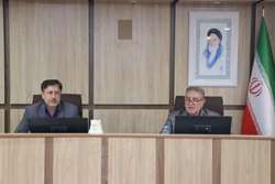 با هدف تبیین برنامه های جوانی جمعیت؛ دومین جلسه شورای خانه مشارکت مردم در سلامت استان تشکیل شد