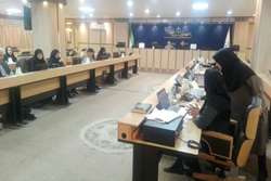 در کمیته سلامت و امنیت غذایی استان عنوان شد:  نقش‌آفرینی کلیه‌ی دستگاه‌های اجرایی در هفته سلامت، مورد انتظار است