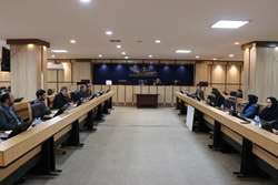 معاون غذا و داروی دانشگاه علوم پزشکی زنجان:  امنیت غذایی در گرو هم‌افزایی دستگاه‌های مرتبط است