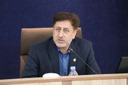دبیرکل کمیسیون سلامت و تغذیه استان: امنیت غذایی، زیربنای امنیت اقتصادی و اجتماعی کشور است