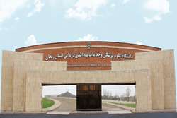 عملکرد یکساله معاونت توسعه مدیریت، منابع و برنامه‌ریزی دانشگاه علوم پزشکی زنجان