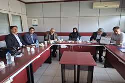 رئیس دانشگاه علوم پزشکی زنجان: نان کامل، در پیشگیری از بیماری‌های متابولیک نقش مؤثری دارد