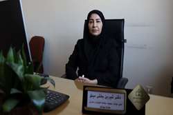 مدیر جوانی جمعیت دانشگاه علوم پزشکی زنجان هشدار داد:  جمعیت سالمند استان در حال افزایش است