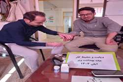 آموزش استفاده از دستگاه قندخون و کنترل دیابت در روستاهای شهرستان سلطانیه آغاز شد