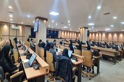 در جلسه شورای پیام‌رسانان سلامت استان مطرح شد؛  توسعه برنامه پزشک خانواده و نظام ارجاع الکترونیک