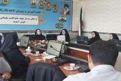 کارگاه آموزشیِ مربیان بهداشت مدارس ناحیه یک زنجان؛ هم‌افزایی برای سلامت آینده‌سازان