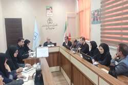 تأکید معاون بهداشت دانشگاه علوم پزشکی زنجان بر ارتقاء کیفیت خدمات در خانه‌های بهداشت