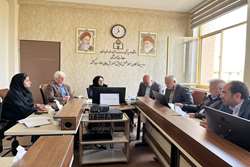 برگزاری اولین جلسه کمیته پذیرش و برنامه ریزی دانشجویان بین‌المللی در سال 1405