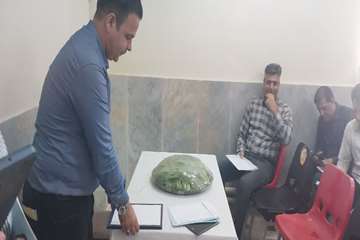 photo28224282369