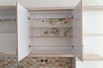 cabinet6
